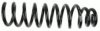 SACHS 993 096 Coil Spring